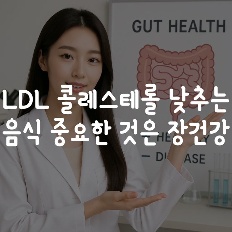 LDL 콜레스테롤 낮추는 음식 중요한 것은 장건강