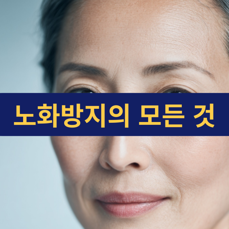  노화방지 음식 | 노화방지 영양제 화장품 운동 | 노화를 늦추는 법 | 건강친구