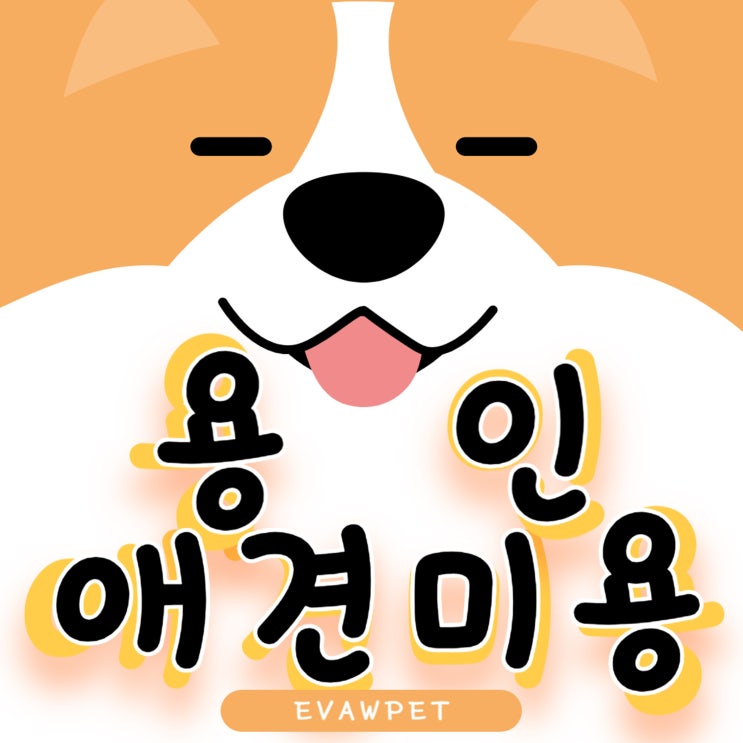  용인애견미용학원 전문가로 가는 최적의 출발점
