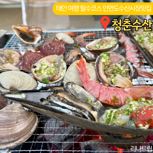  태안 안면도 수산시장 맛집 청춘수산 조개 새우 회 포장 아이와 캠핑후기