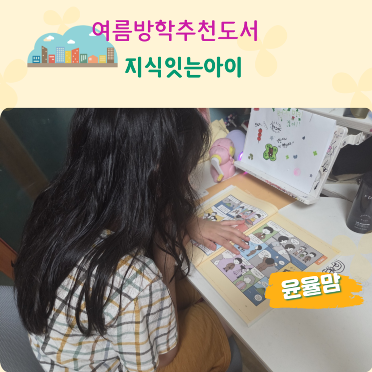 여름방학추천도서 초등 사회책 나라에 일이 생기면 누가 해결하지