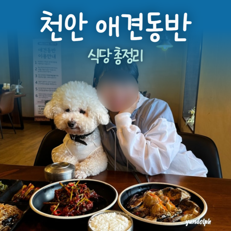  천안애견동반식당 총정리