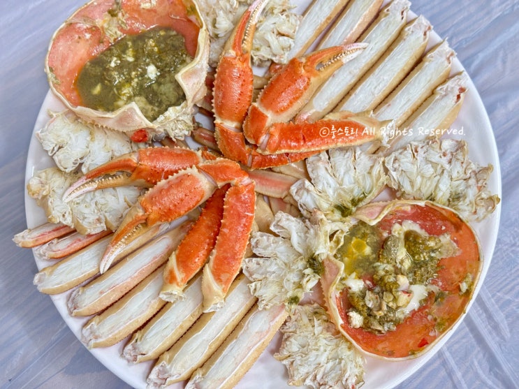  속초 등대해수욕장 맛집 애견동반 식당 동해안 대게찜 대게가격