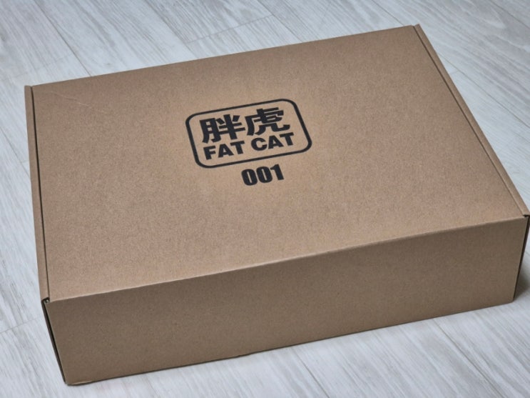 [언박싱]대륙제 RG 퍼스트 건담 2.0 뻥튀기 FAT CAT-001