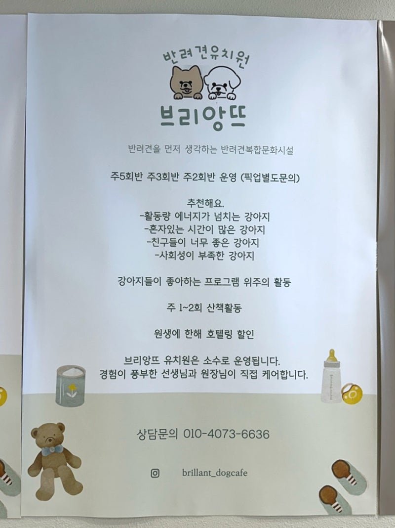 사진 3
