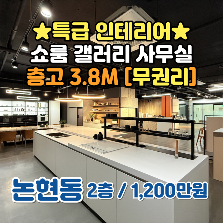  [강남 상가 임대] 쇼룸 갤러리 사무실 층고 3.8M 특급 인테리어 무상인수