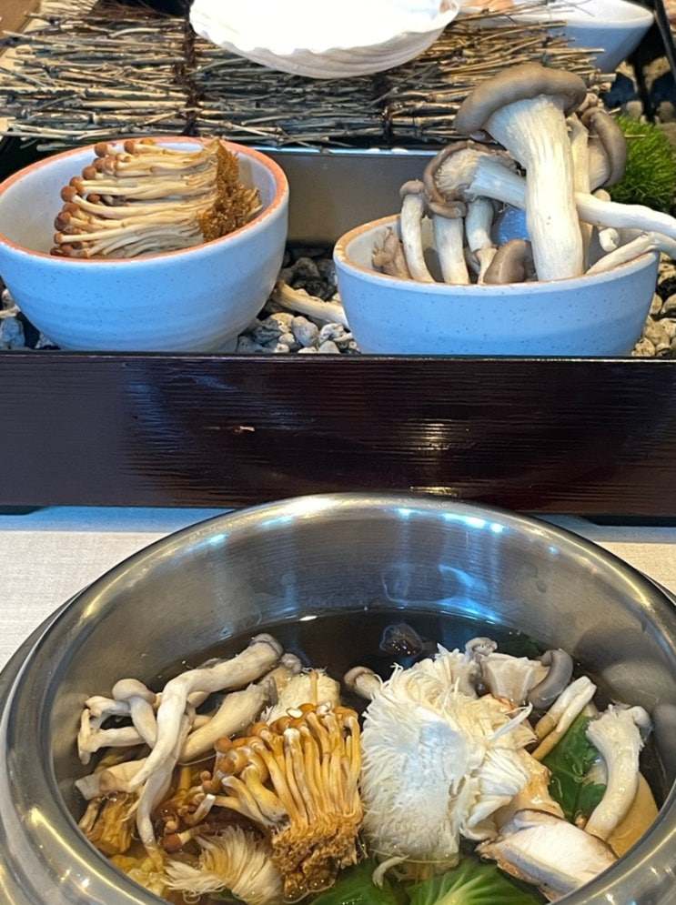  용산 아이파크몰 노야 샤브샤브 털고 잇자바이브 구여운 반팔티샤스 쇼핑한 썰