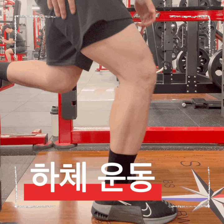  초보부터 고수까지! 불가리안 스쿼트 자세, 자극 포인트, 꿀팁 총정리
