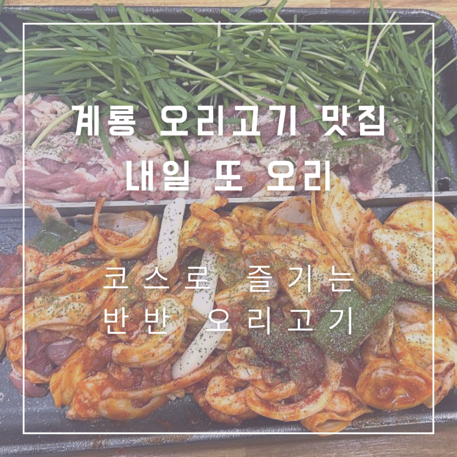 내일또오리 사진 1