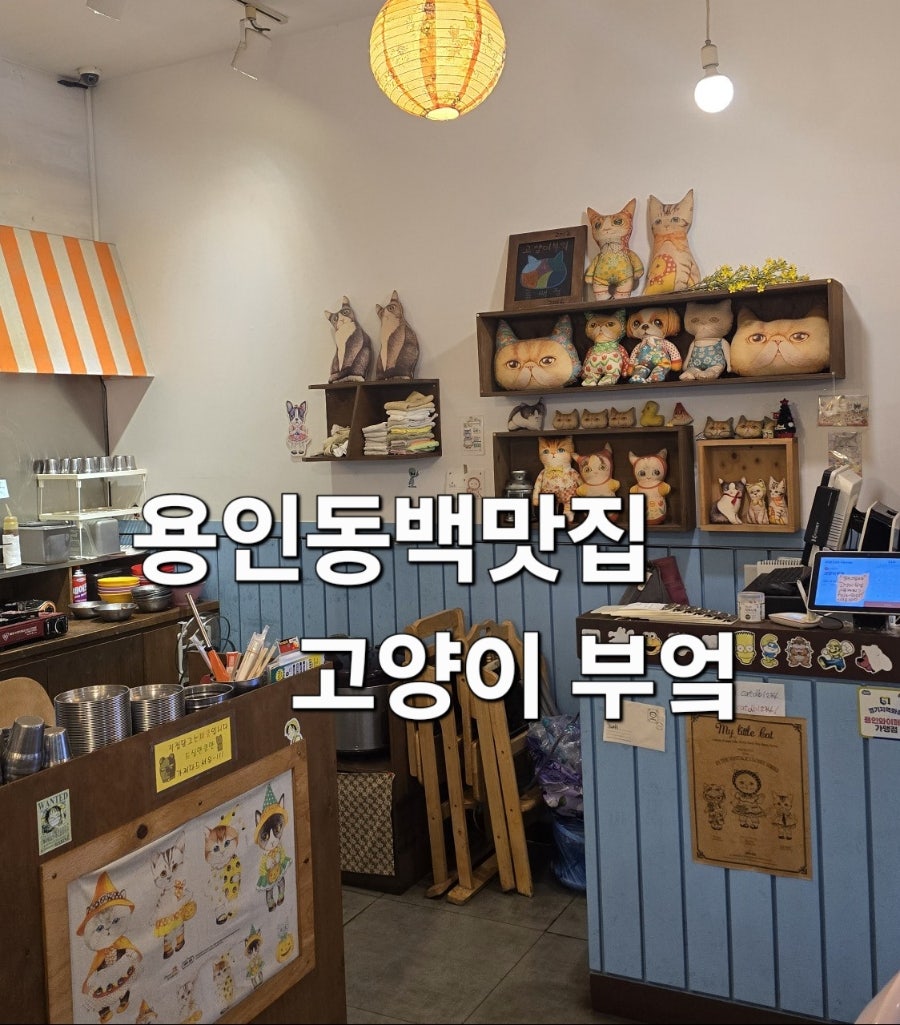 고양이부엌 동백점 사진 1