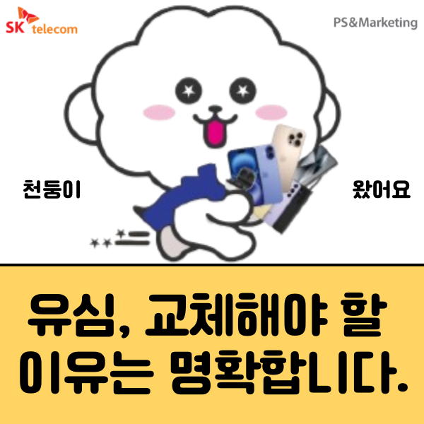 유심 교체, 안 해도 괜찮을까요? 공신력 있는 자료로 팩트만 정리했습니다