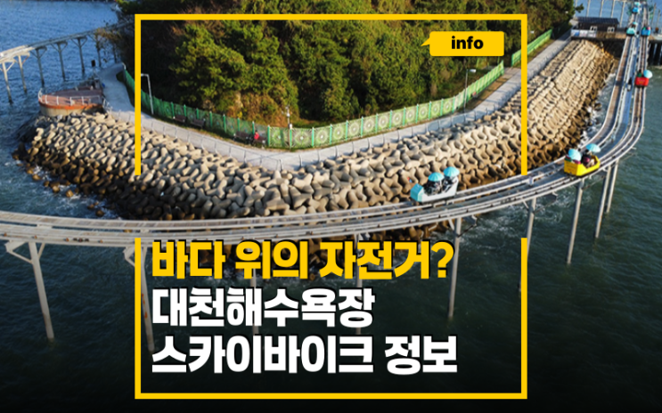 보령 대천해수욕장 스카이바이크, 예약 시간 가격 모두 정리했어요.