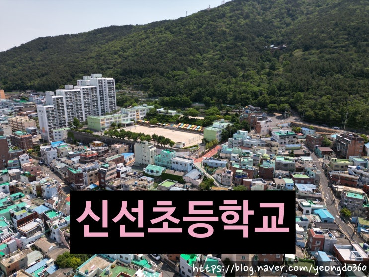  신선초등학교: 하늘에서 본 교육 현장과 지역 이야기