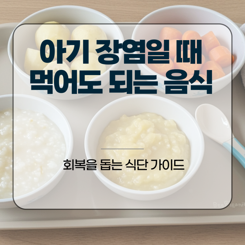 아기 장염일 때 먹어도 되는 음식, 회복을 돕는 식단 가이드
