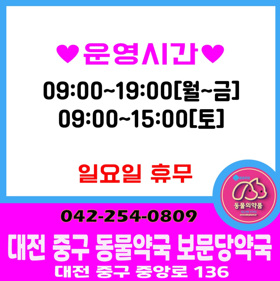 보문당약국 사진 2