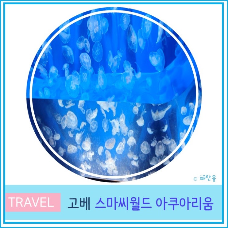  오사카 근교 당일치기 여행 고베  가볼 만한 곳 스마 씨월드 아쿠아리움