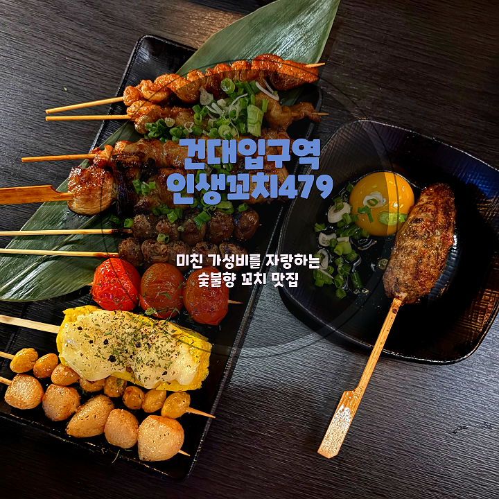[건대 꼬치 맛집] 가성비 미친 이자카야 ‘인생꼬치479 건대점’ 방문 후기