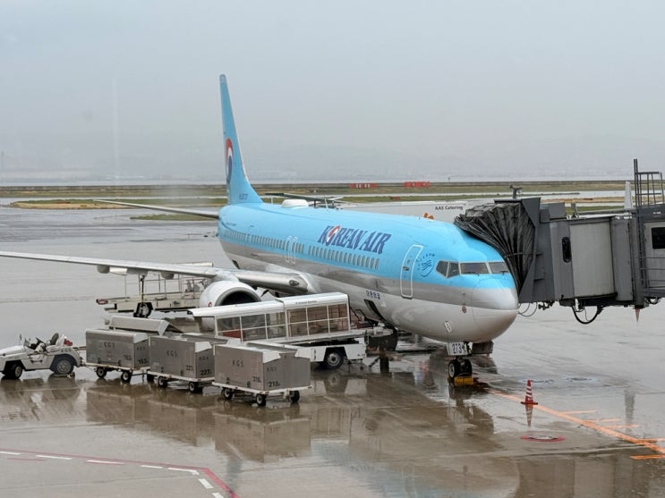  간사이공항 출국 제1터미널 면세점 로이스, 대한항공 KE728 보잉 737-900 오사카 인천 일반석 후기