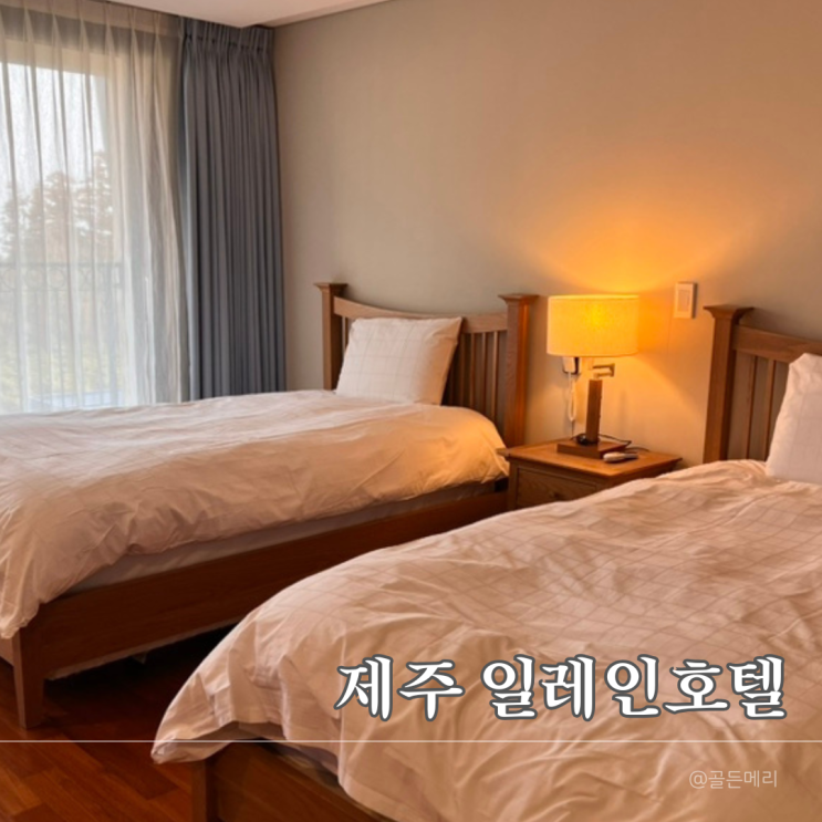  제주일레인호텔 서귀포 가성비숙소 리얼 후기와 예약 꿀팁