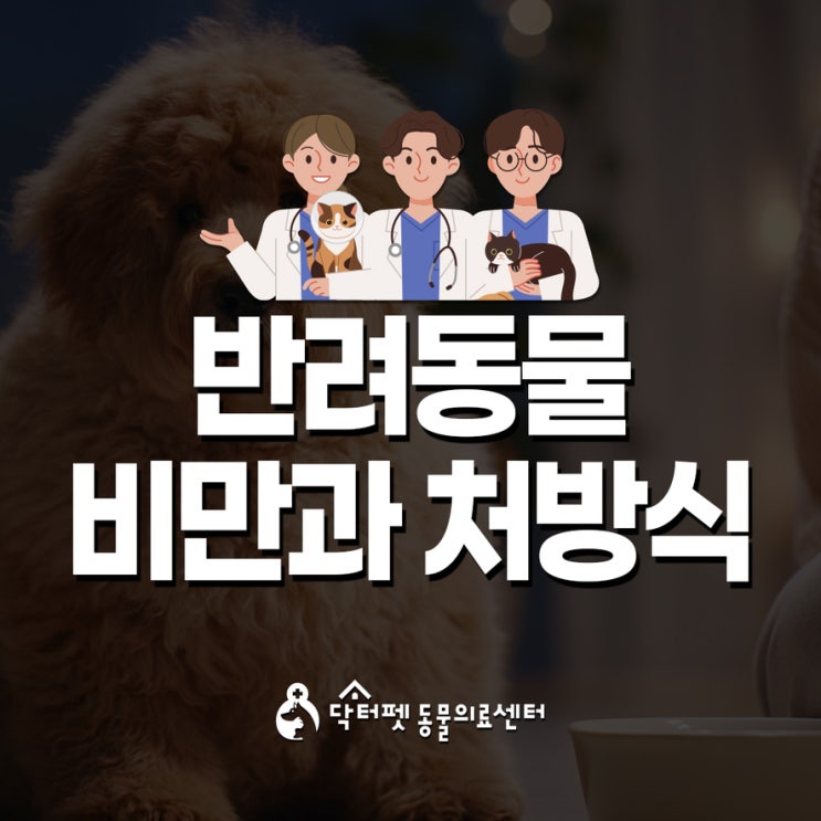  반려동물 비만과 처방식 이야기 강아지 고양이 비만관리