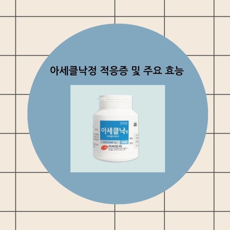 아세클낙정 아세클로페낙 효능 부작용 술 주의사항