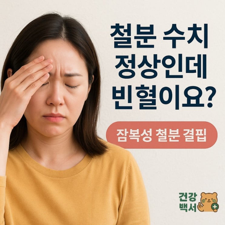  철분 수치 정상인데 빈혈?