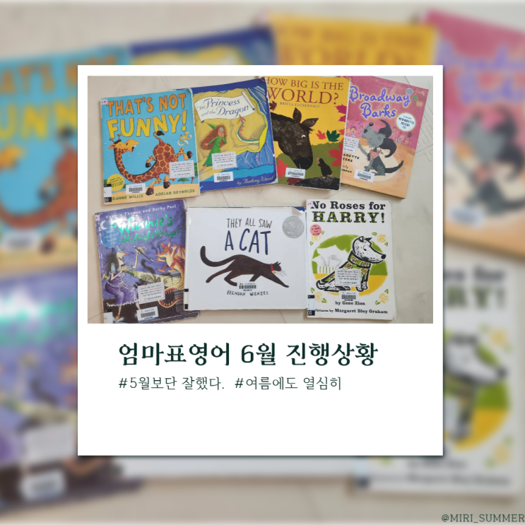  엄마표영어 6월 진행상황 정리_ 한뼘 더 자란 하이남매