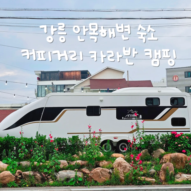 강릉 안목해변 숙소 깨끗했던 안목커피거리 카라반 캠핑장 강릉 안목해변 숙소 깨끗했던 안목커피거리 카라반 캠핑장