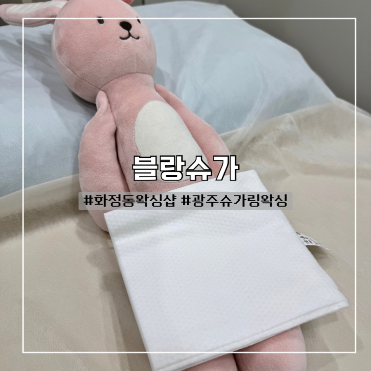  화정동왁싱 슈가링 브라질리언 진짜 안 아팠어요! :: 블랑슈가 솔직 후기
