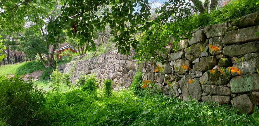천등산 사진 5