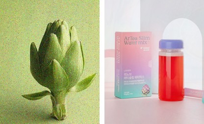  아침에 상쾌함을 느끼고 싶다면? 아티초크와 L-카르니틴으로 건강한 하루 시작하기