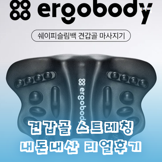  에르고바디 쉐이피슬림백 스트레칭 마사지기 내돈내산 리얼후기