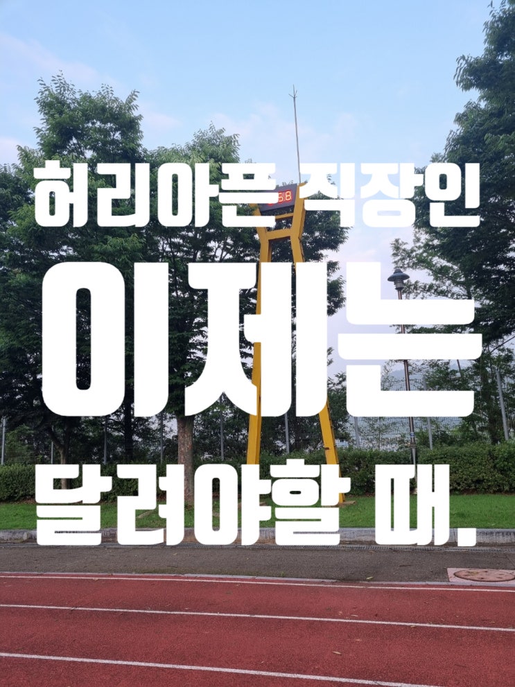  직장인 허리통증 해결법. 운동싫어하면 이거 꼭 하세요. 유산소운동과 걷기의 효과