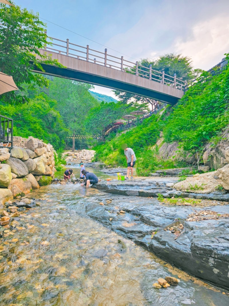 사진 8