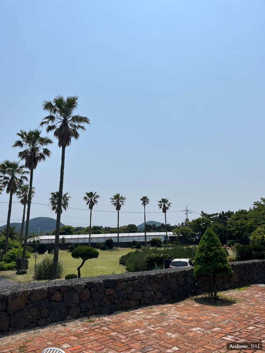 만디 와산 사진 3