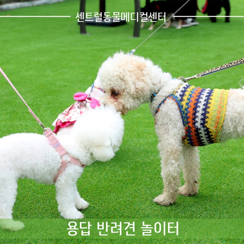 사진 3