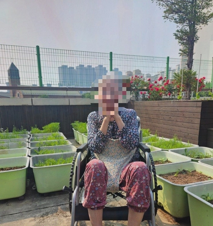  안전한요양원으로 추천하는 일산시티요양원의 특별한 서비스