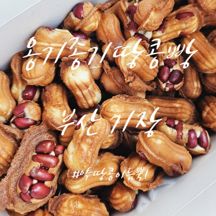  기장시장의 명물이 되어버린 [기장 옹기종기땅콩빵] 내돈내산 후기