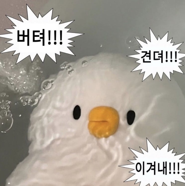  2025.6월 일기- 목표지향적 삶 추구해요