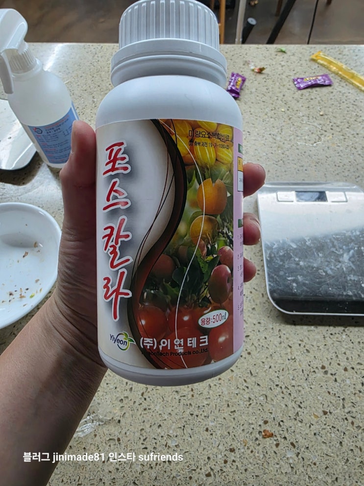  식물영양제 포스칼라 식물성장촉진제
