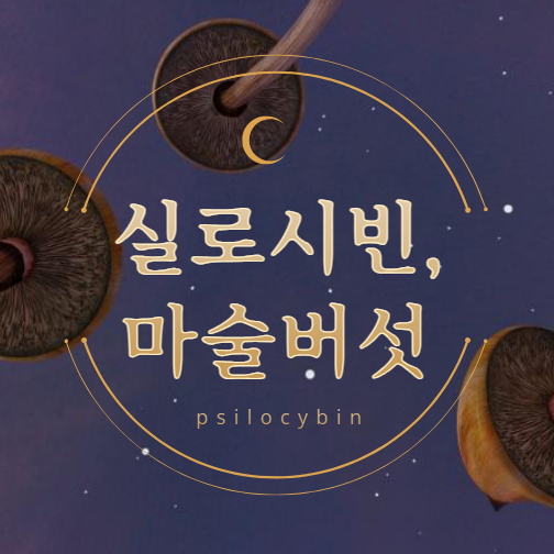  실로시빈 마술버섯 대체음식 우울증