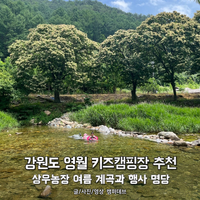 영월키즈캠핑장