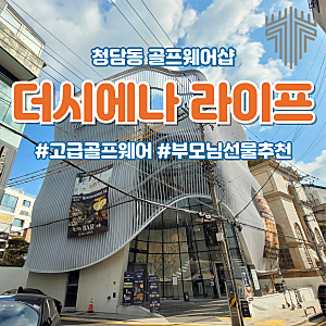 더시에나 라이프 - 부모님 선물로 뻔하지 않은 고급 골프웨어 추천 (오프라인 매장)
