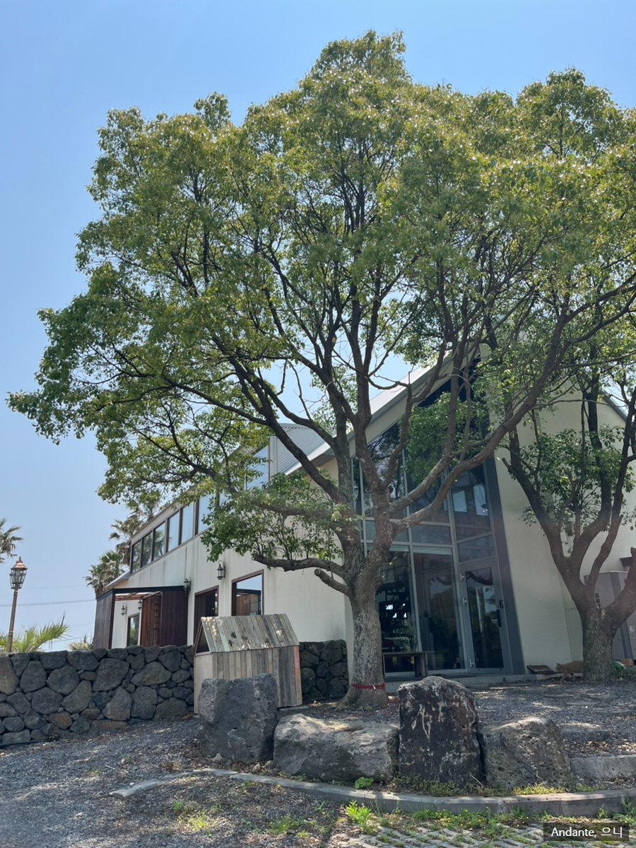 만디 와산 사진 1