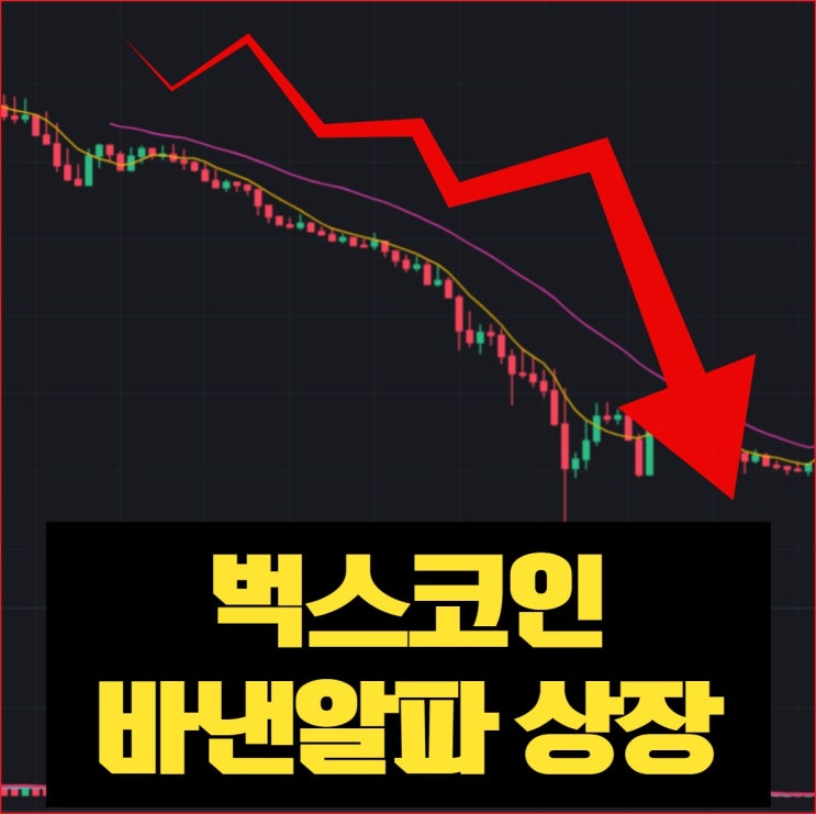 벅스코인(BGSC) 인범, 바이낸스 알파 상장 가격, 에어드랍