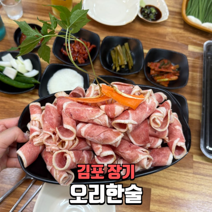  장기역 맛집 오리한술 후기 김포 오리불고기 찐맛집 인정!