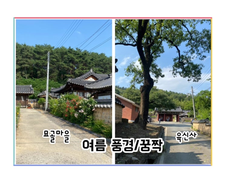 육신사/ 묘골마을의 여름