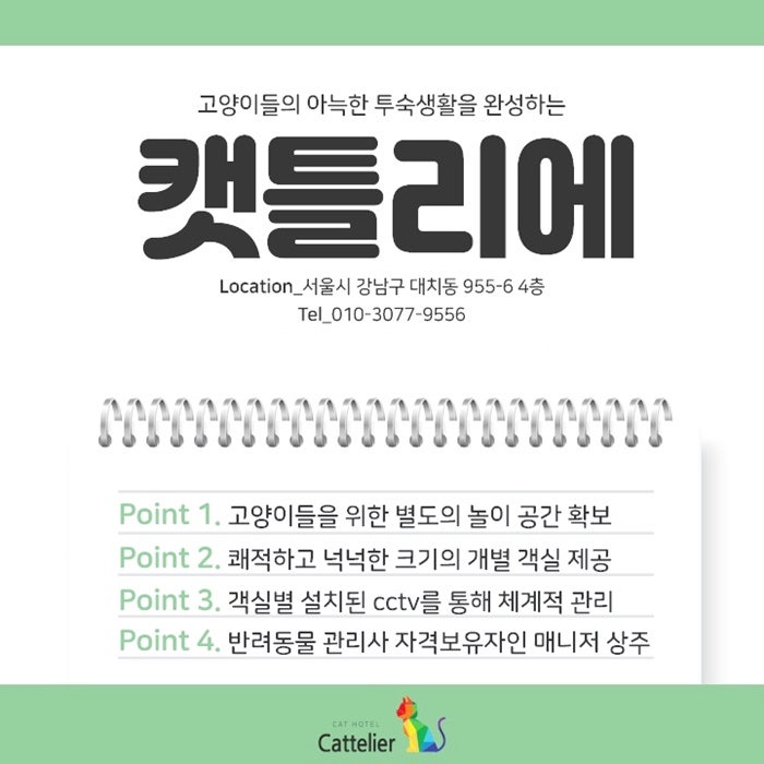 사진 6