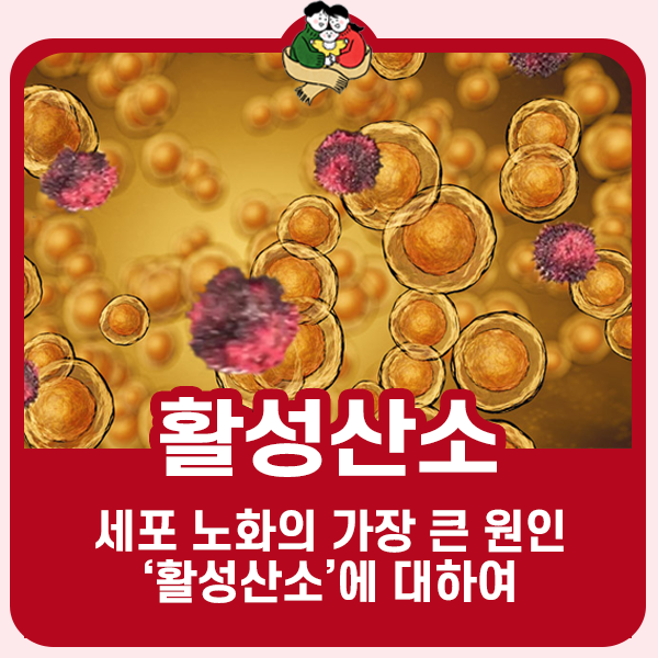 우리 몸에 유해한 활성산소에 대하여