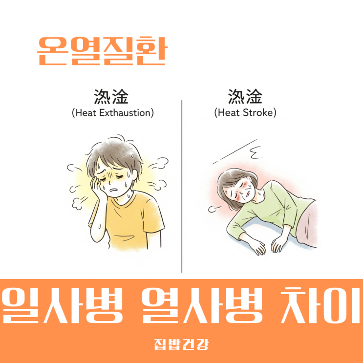 일사병 열사병 차이 정확한 증상을 모르면 생명이 위험합니다